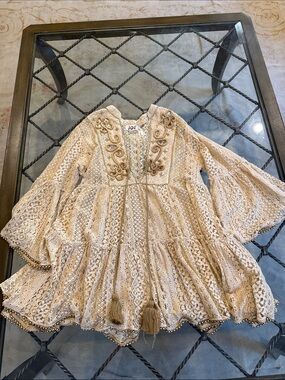 Embroidered lace and beaded dress